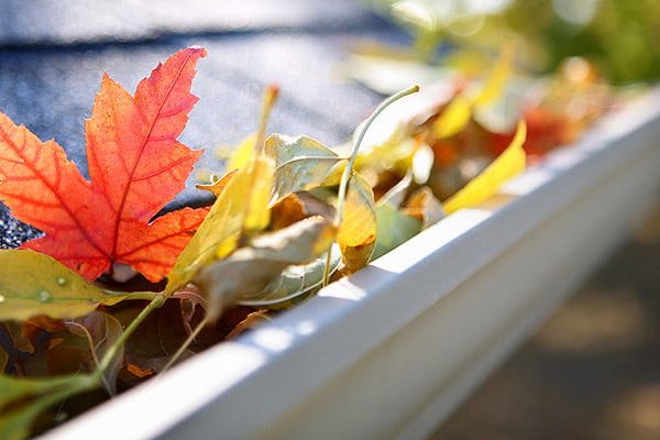 Fall Maintenance Property Chores