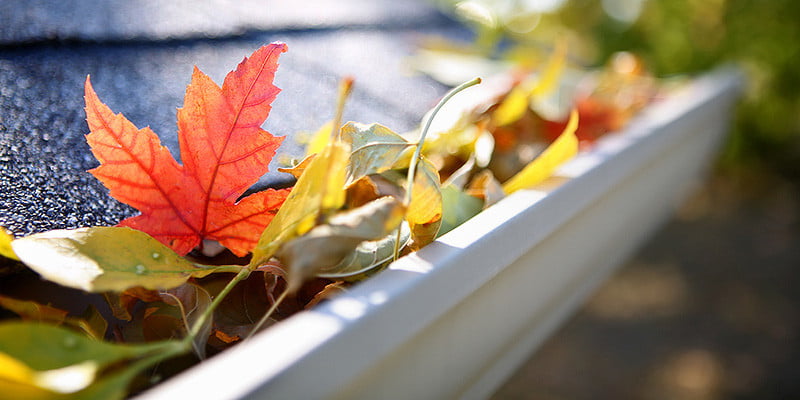 Fall Maintenance Property Chores
