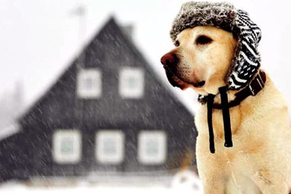 Preparing your Home for the Winter Season