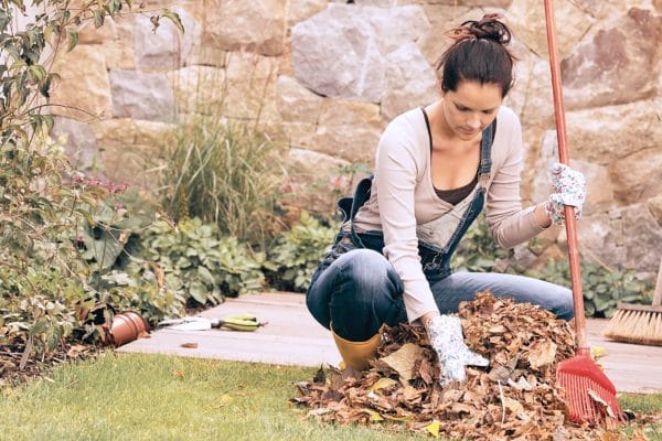 How to Boost Curb Appeal with Autumn Landscaping