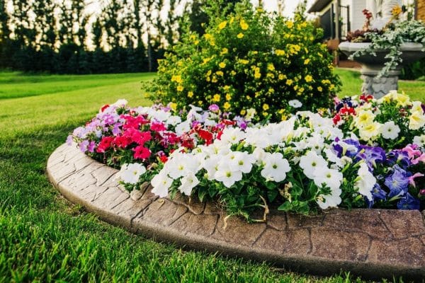 the mid-summer curb appeal refresh